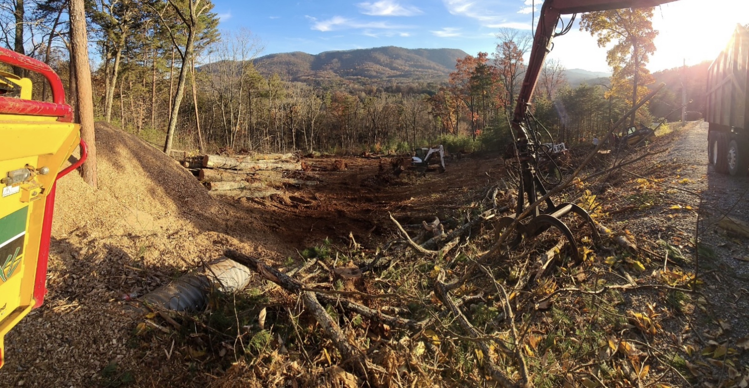 A completed Elite Tree Service job at a Knox County home