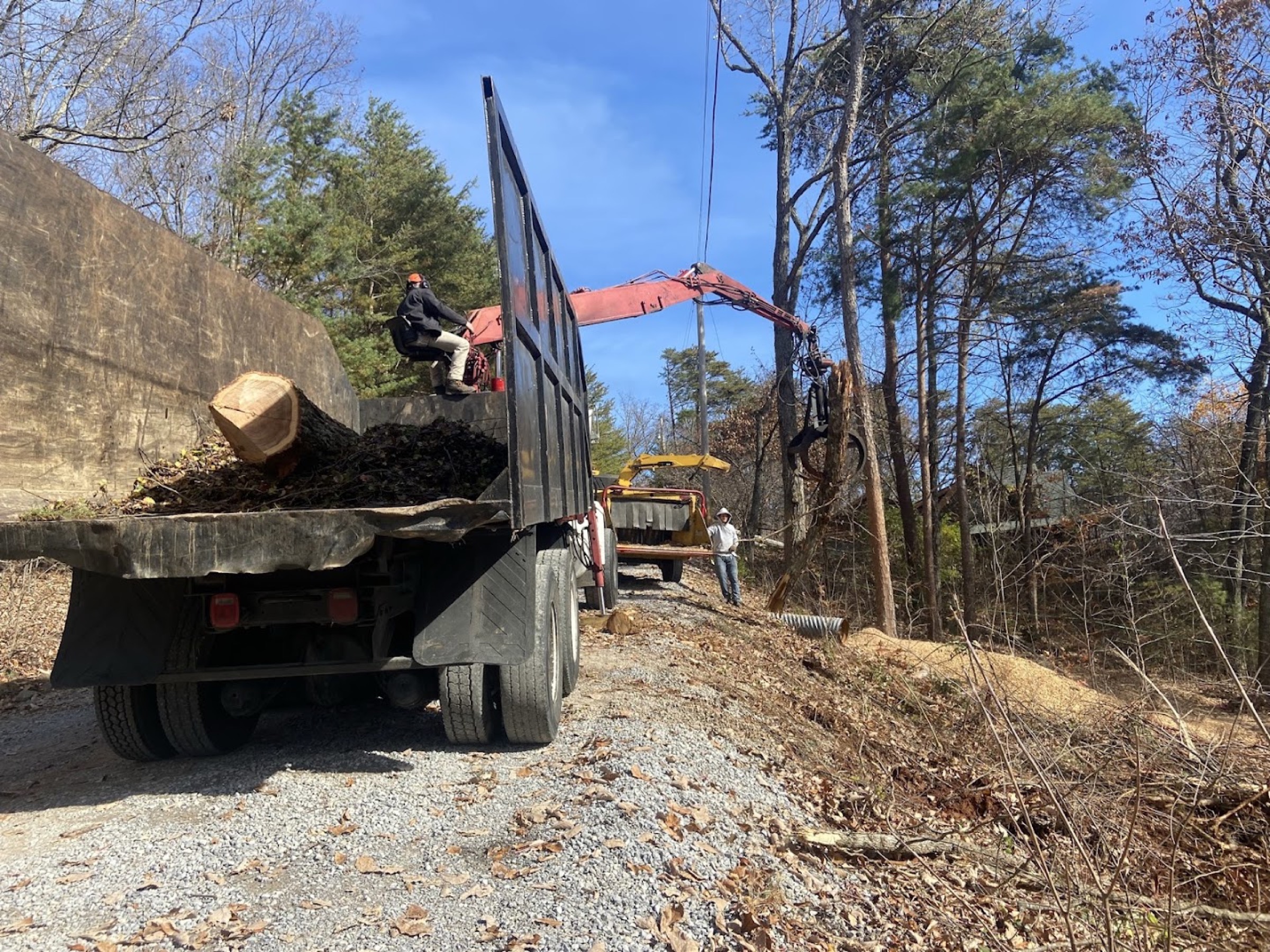 Elite Tree Service clearing land with a skid steer and chipper in the Tennessee hills