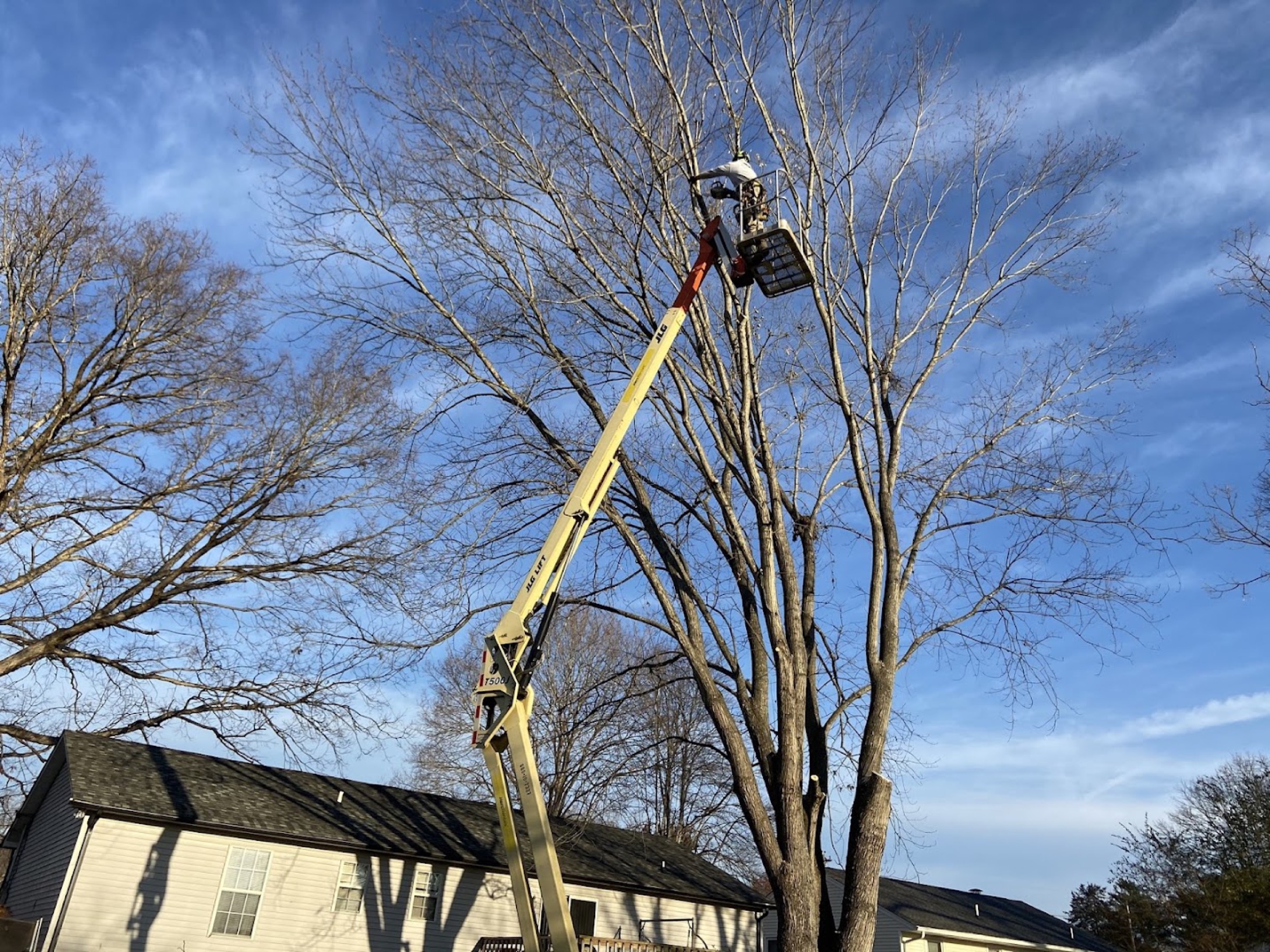An Elite Tree Service arborist working high in a tree from a bucket lift against a blue Tennessee sky in Powell