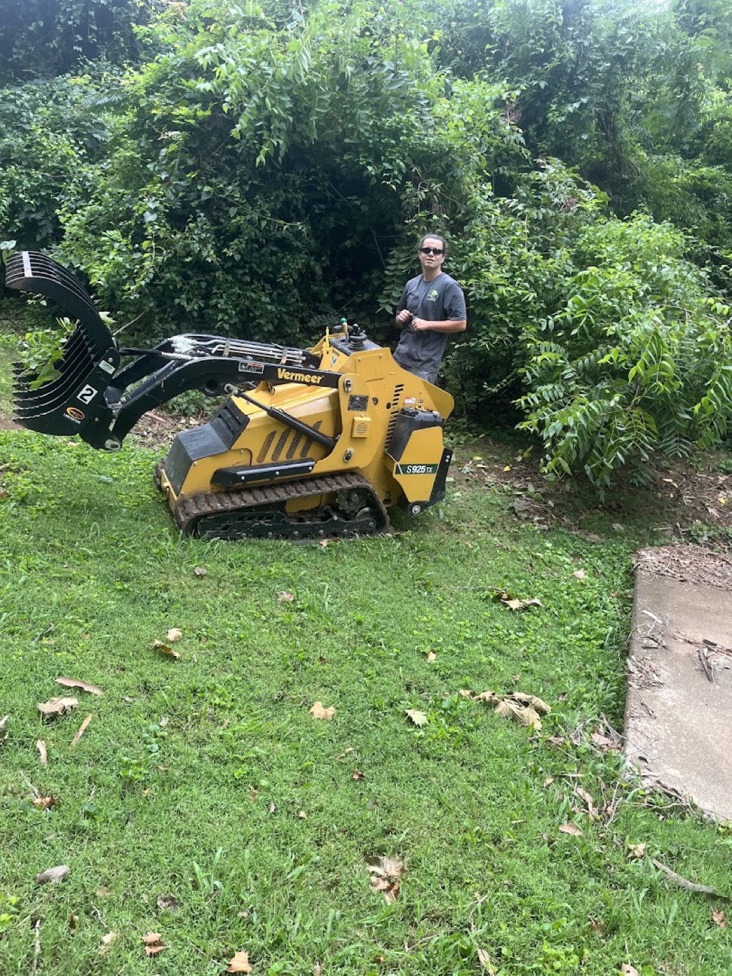 A skid steer clearing brush and small timber from a lot