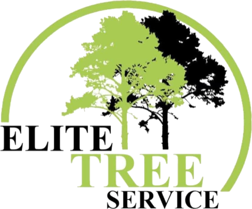 Elite Tree Service