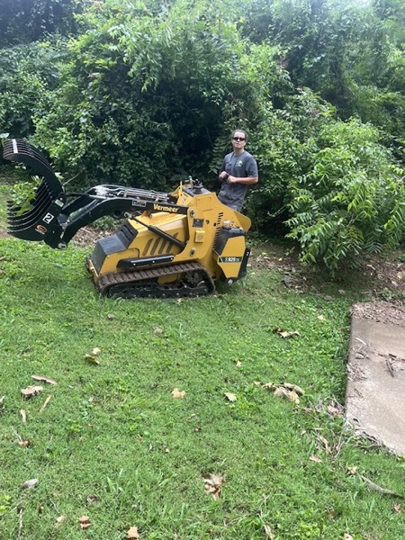 An arborist cutting a tall trunk down in sections