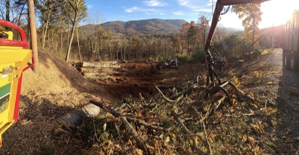 A skid steer clearing debris after a tree job