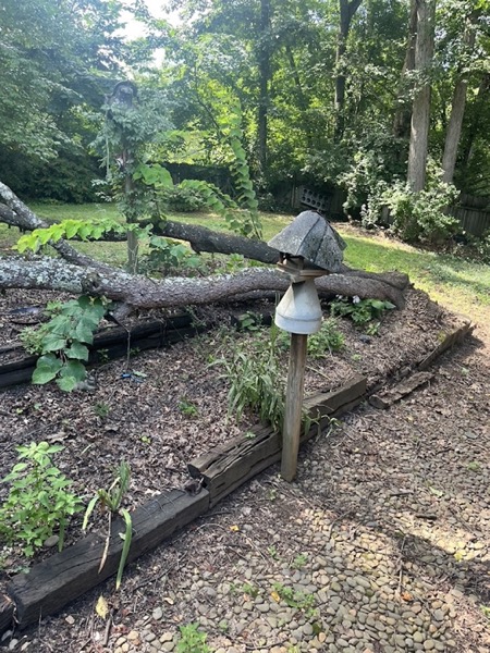 A cleared and tidied yard after a tree job
