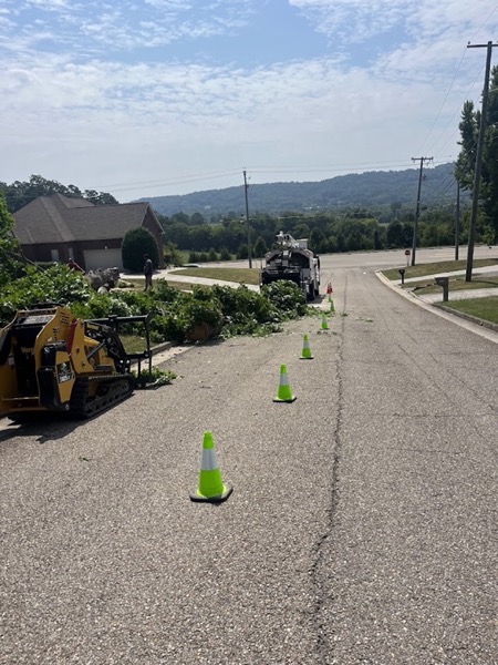A tree removal at a red-brick Knox County home