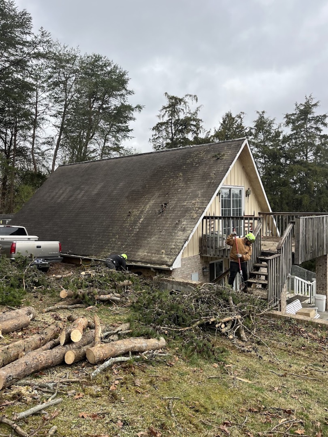A completed tree removal at a Powell home